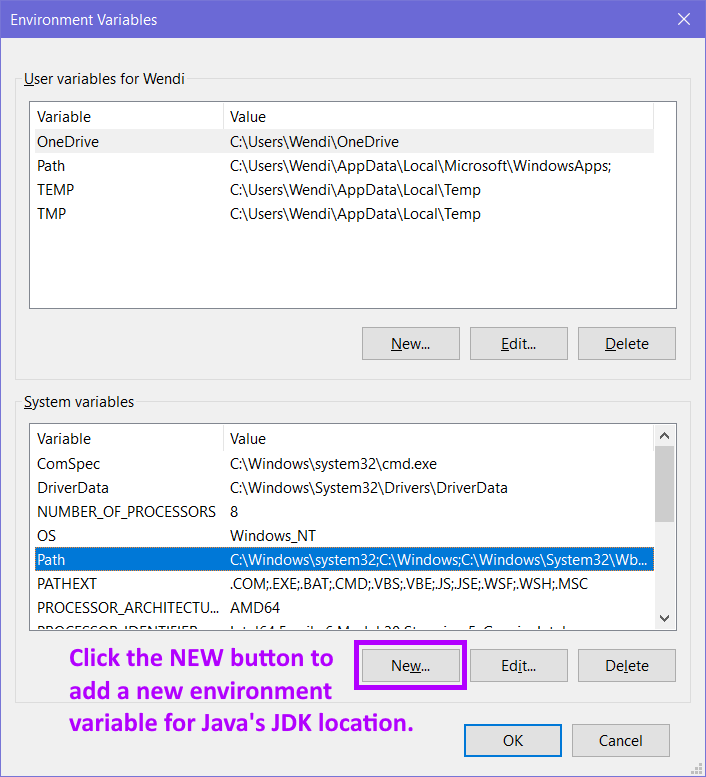 make sure you click the button(s) in the bottom half (System Variables)