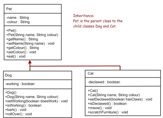 a hierarchy chart of animals