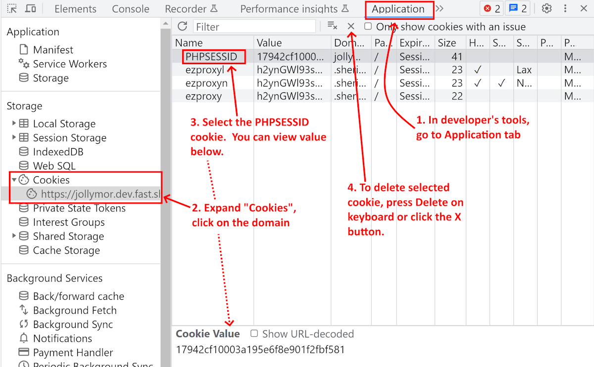 viewing session cookie in Chrome