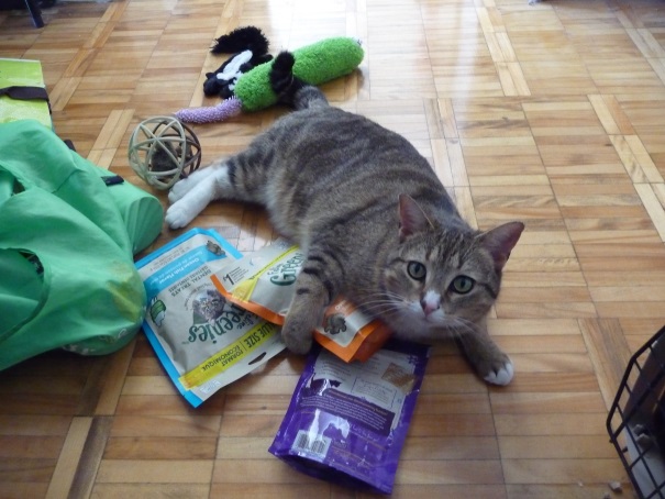 arti gets into shopping bags